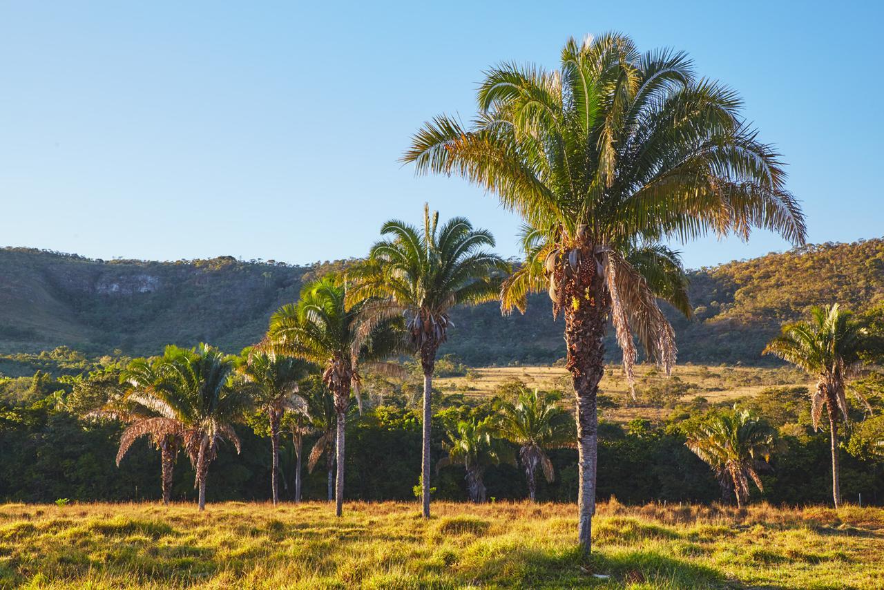 Alto Paraíso de Goiás Eit Eco Inteligenteヴィラ エクステリア 写真