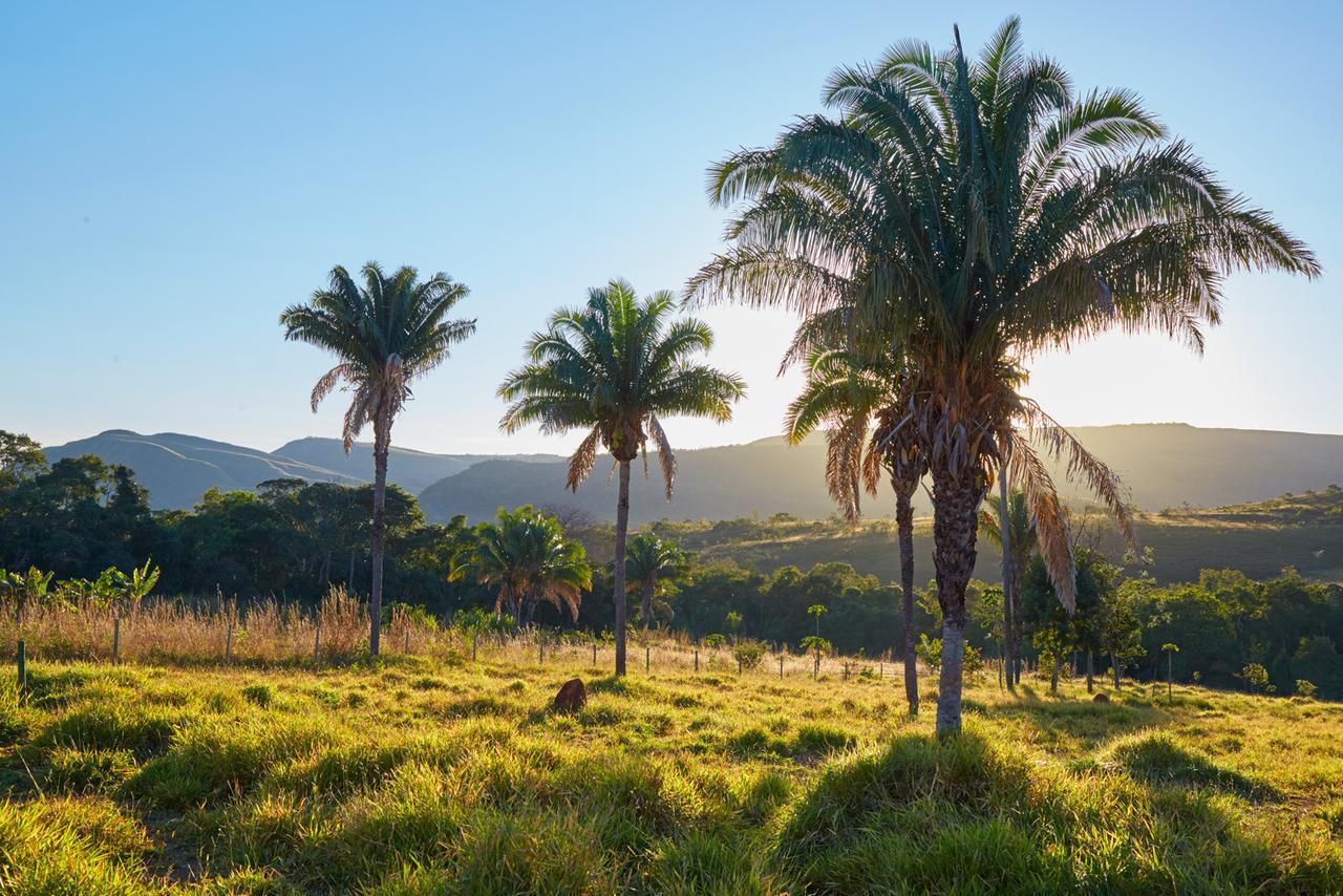 Alto Paraíso de Goiás Eit Eco Inteligenteヴィラ エクステリア 写真