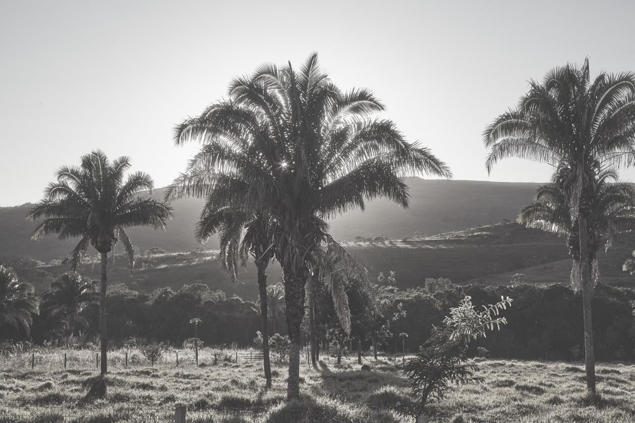 Alto Paraíso de Goiás Eit Eco Inteligenteヴィラ エクステリア 写真